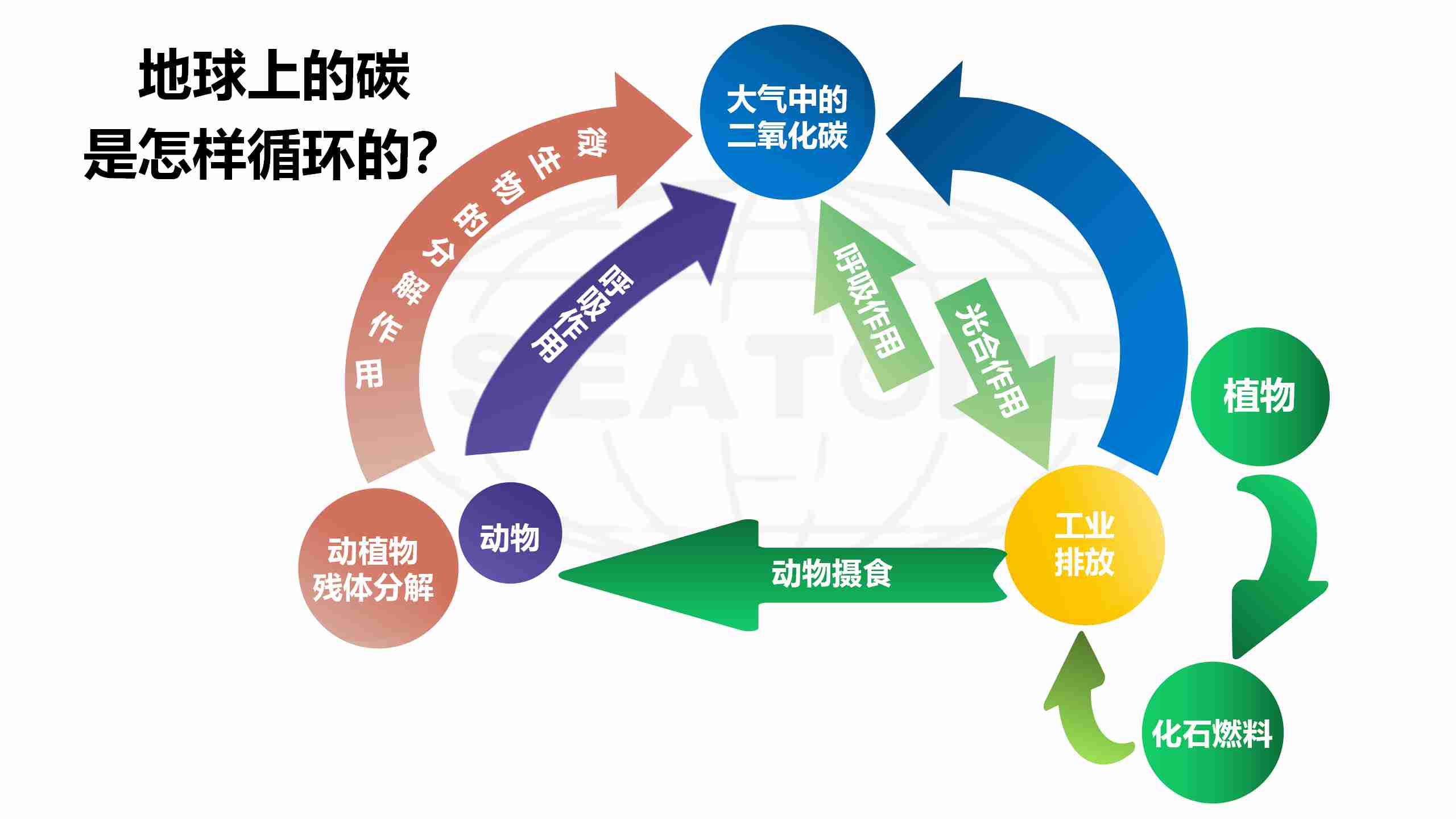 碳中和图解图片